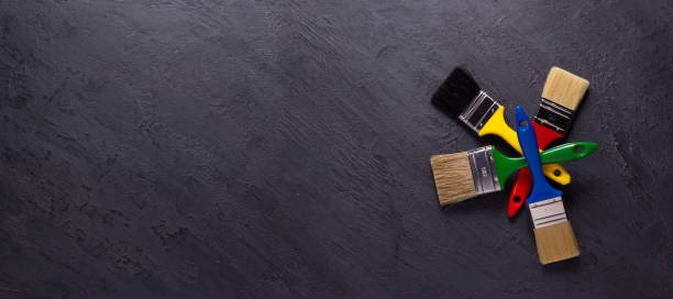 Best Black Mold Removal  in Meadville, PA
