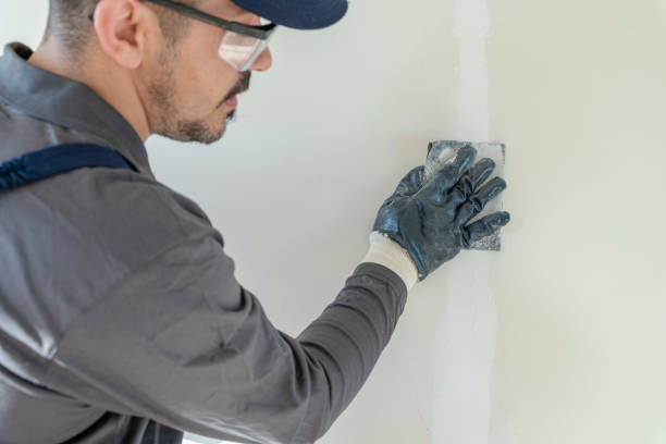 Best Attic Mold Removal  in Meadville, PA