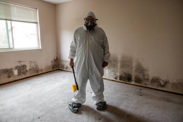 Best Mold Removal for HVAC Installations  in Meadville, PA